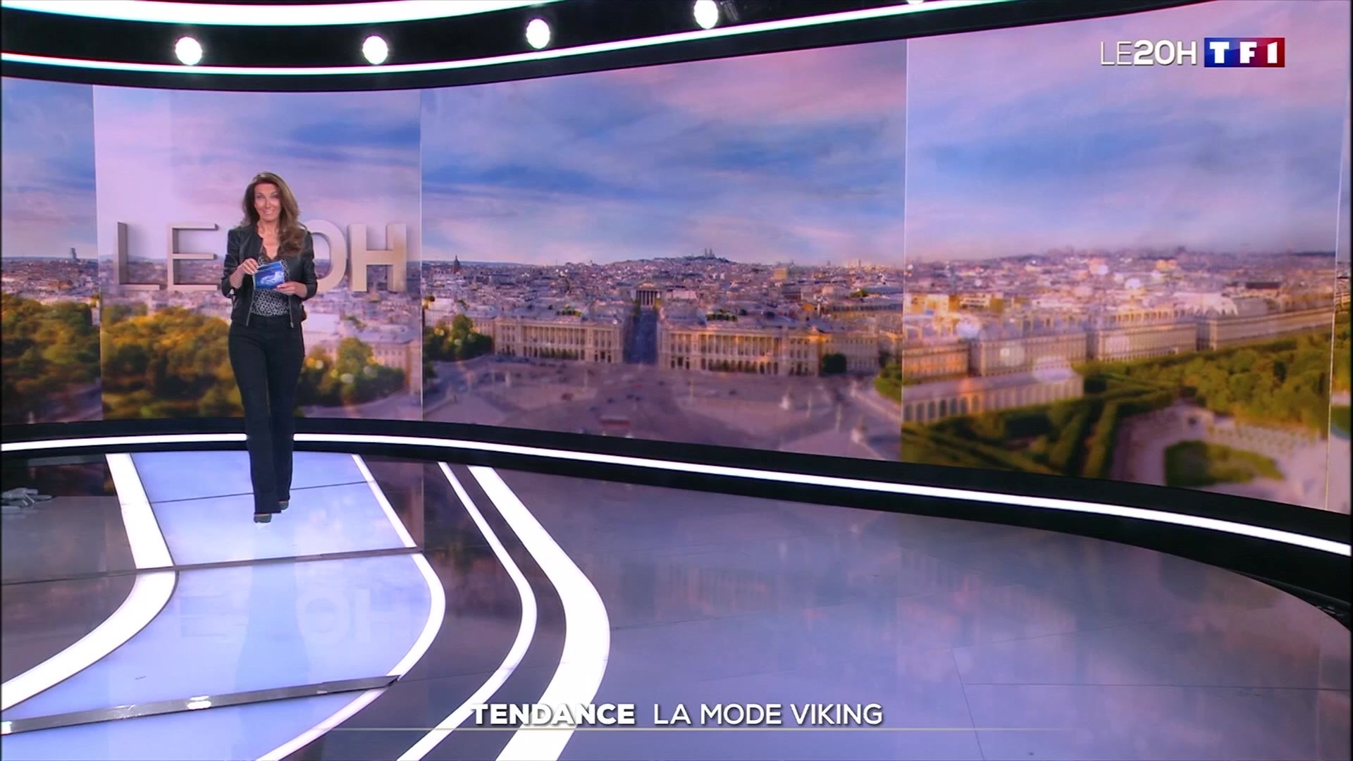 Image du reportage de TF1 sur Léonard de Vinci, avec le logo du 20H de TF1.