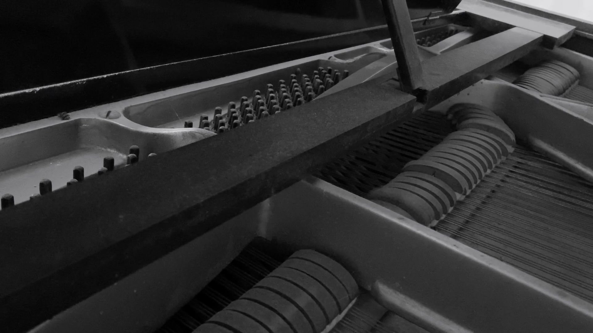 Grand piano interior in black and white: hammers, strings and the open body of the instrument.